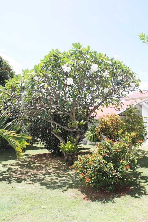 Daniella'S Bungalows Μπελ Όμπρε Εξωτερικό φωτογραφία